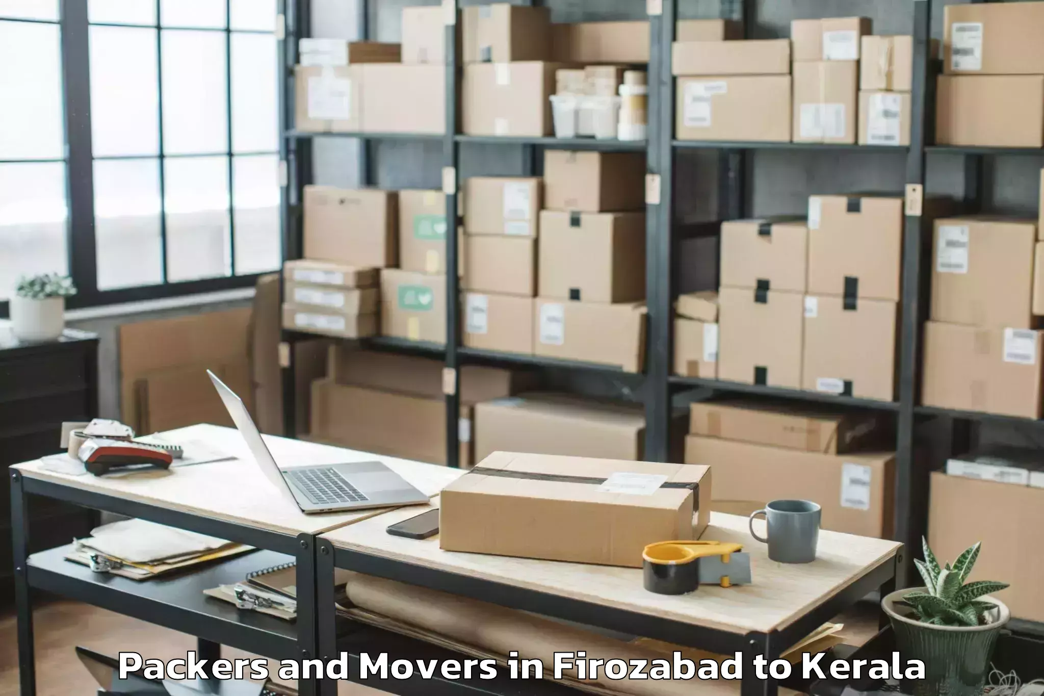 Professional Firozabad to Karunagappally Packers And Movers